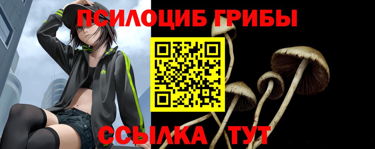 Галлюциногенные грибы Psilocybe  Галлюциногенные грибы мухоморы  Рубцовск  Вход с VPN 